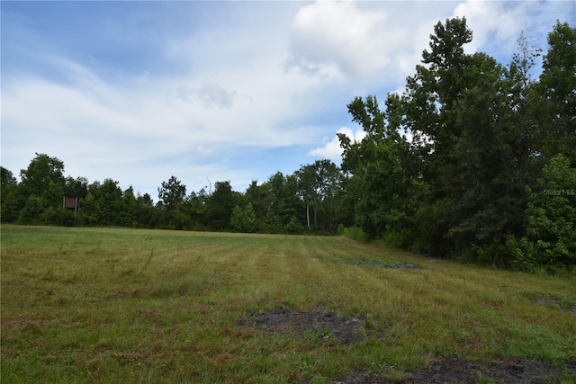 3353 NE 774th Ave, Old Town, FL 32680 - photo 59