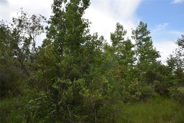 3353 NE 774th Ave, Old Town, FL 32680 - photo 65