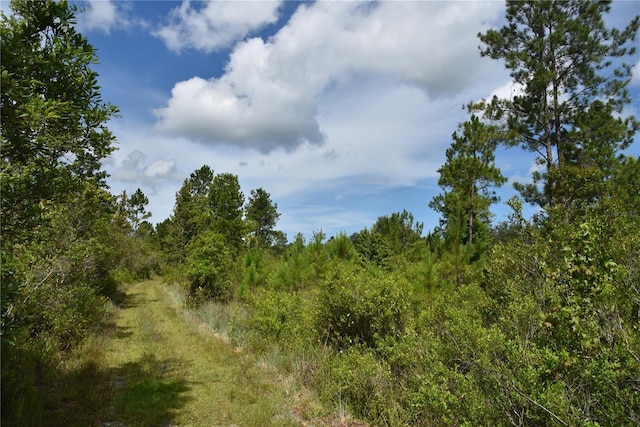 3353 NE 774th Ave, Old Town, FL 32680 - photo 66