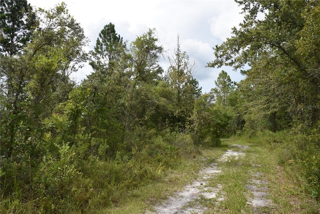 3353 NE 774th Ave, Old Town, FL 32680 - photo 69