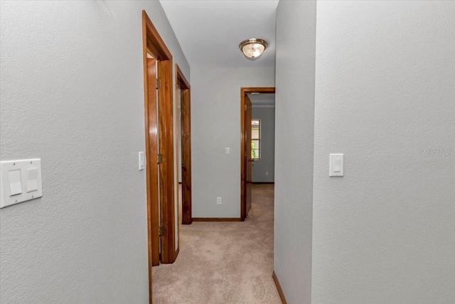 5393 SW 86th Pl, Ocala, FL 34476 - photo 30