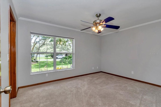 5393 SW 86th Pl, Ocala, FL 34476 - photo 32