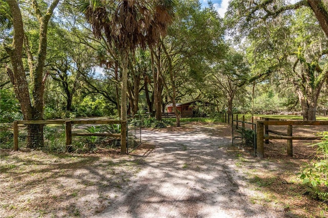 17840 NE 45th Avenue Rd, Citra, FL 32113 - photo 50