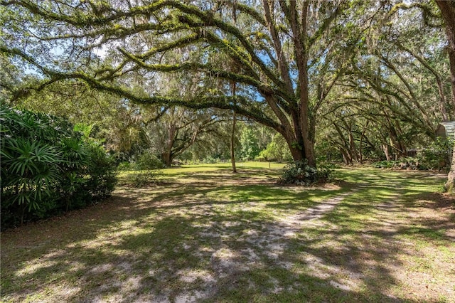 17840 NE 45th Avenue Rd, Citra, FL 32113 - photo 52