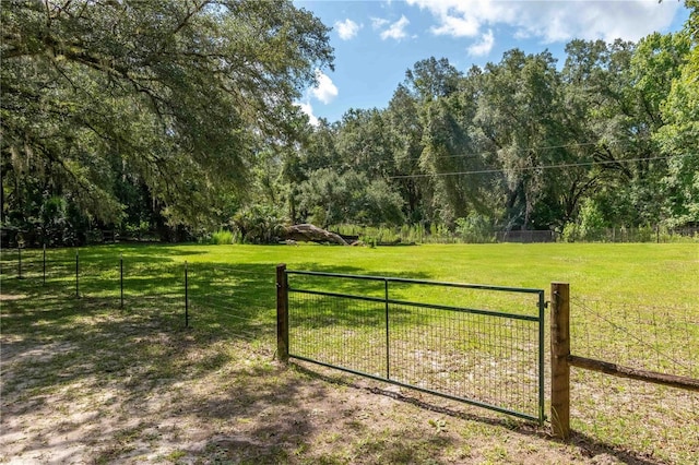 17840 NE 45th Avenue Rd, Citra, FL 32113 - photo 55