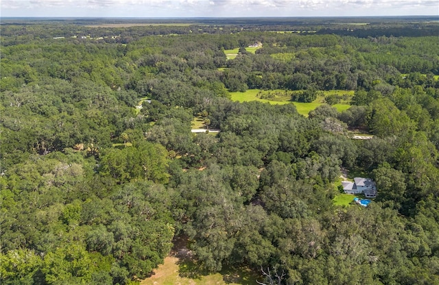 17840 NE 45th Avenue Rd, Citra, FL 32113 - photo 59