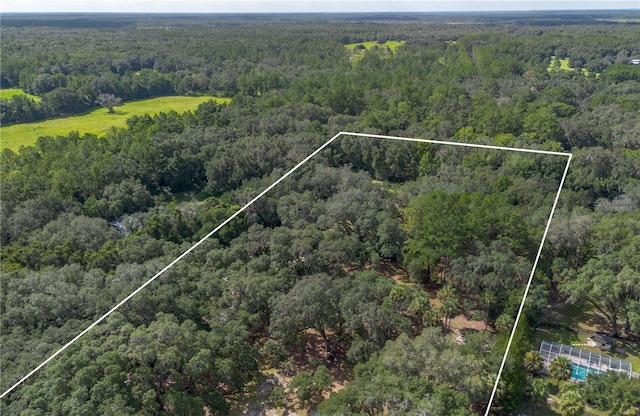 17840 NE 45th Avenue Rd, Citra, FL 32113 - photo 60