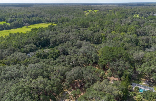 17840 NE 45th Avenue Rd, Citra, FL 32113 - photo 61