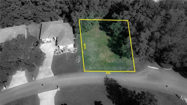 3117 N Barton Creek Cir, Lecanto, FL 34461 - photo 2