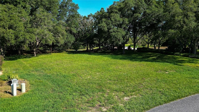 3117 N Barton Creek Cir, Lecanto, FL 34461 - photo 4