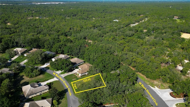 3117 N Barton Creek Cir, Lecanto, FL 34461 - photo 6