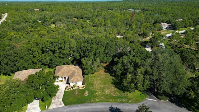 3117 N Barton Creek Cir, Lecanto, FL 34461 - photo 9