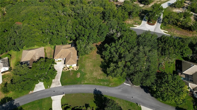 3117 N Barton Creek Cir, Lecanto, FL 34461 - photo 13