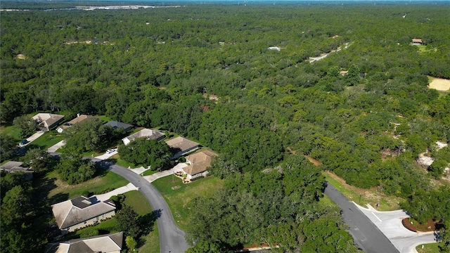 3117 N Barton Creek Cir, Lecanto, FL 34461 - photo 14