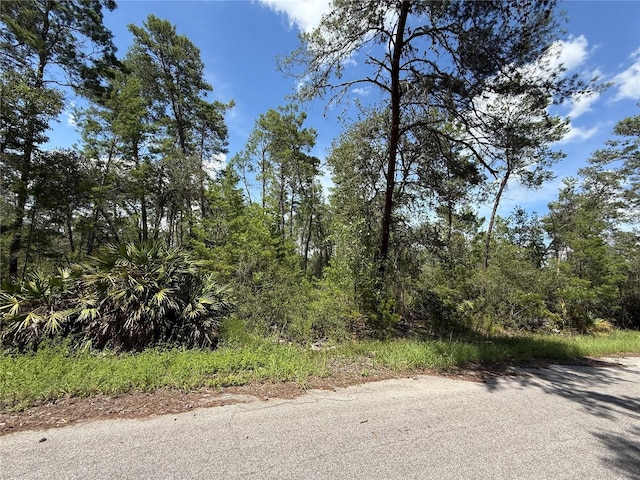 TBD Fisher Trail Court, Ocklawaha, FL 32179 - photo 2
