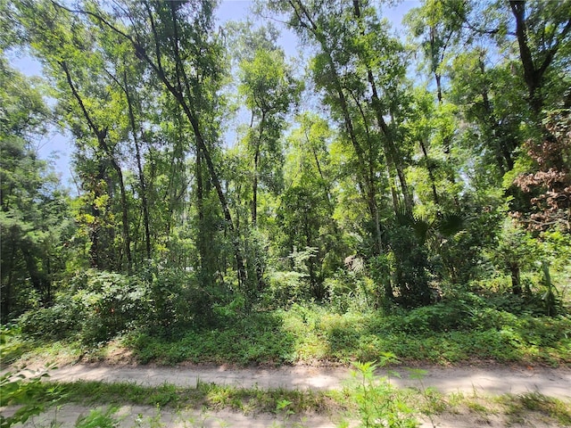 3200 NE 167th St, Citra, FL 32113 - photo 1