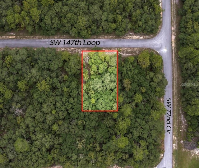 TBD SW 147th Loop, Ocala, FL 34473 - photo 1