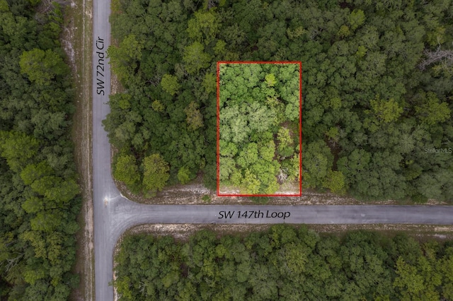 TBD SW 147th Loop, Ocala, FL 34473 - photo 2