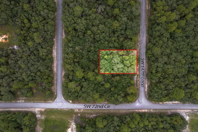 TBD SW 147th Loop, Ocala, FL 34473 - photo 3