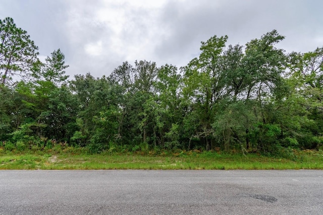 TBD SW 147th Loop, Ocala, FL 34473 - photo 4