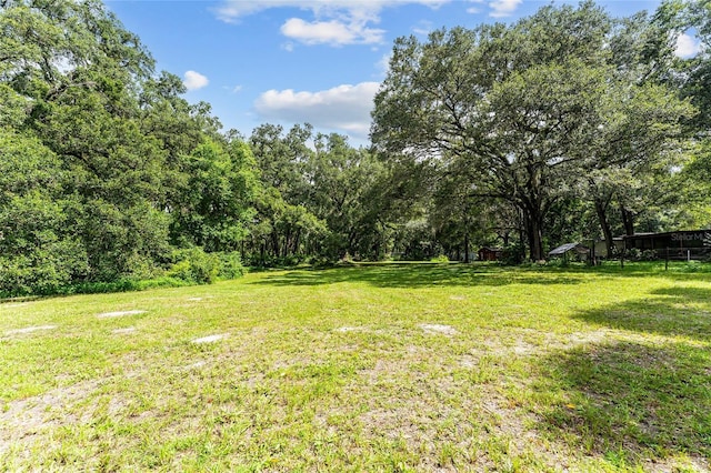 7708 SW 122nd St, Gainesville, FL 32608 - photo 8