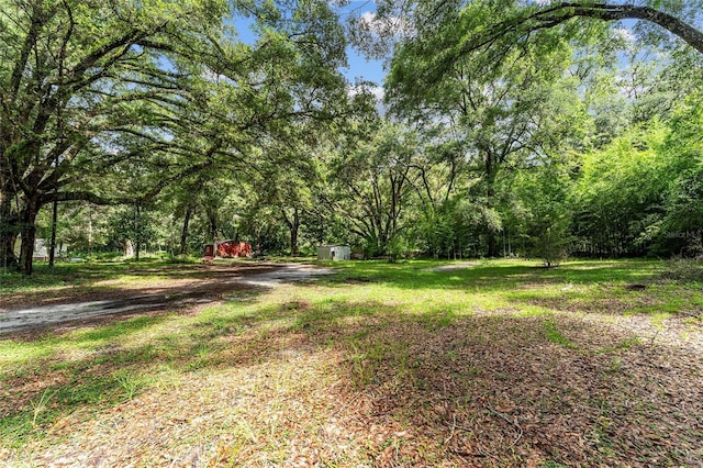 7708 SW 122nd St, Gainesville, FL 32608 - photo 11