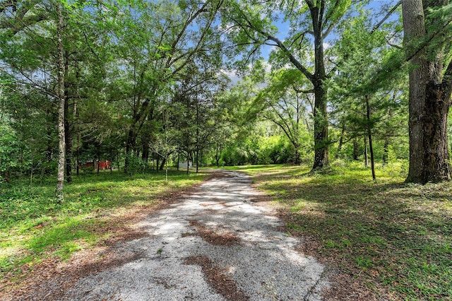7708 SW 122nd St, Gainesville, FL 32608 - photo 12