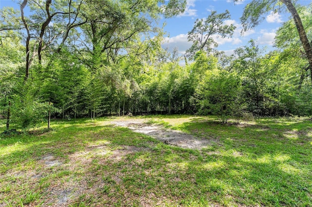7708 SW 122nd St, Gainesville, FL 32608 - photo 18