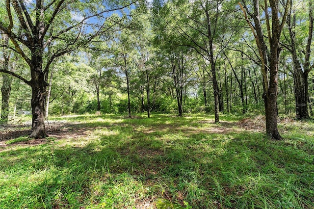 7708 SW 122nd St, Gainesville, FL 32608 - photo 19