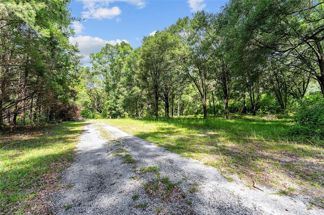 7708 SW 122nd St, Gainesville, FL 32608 - photo 20