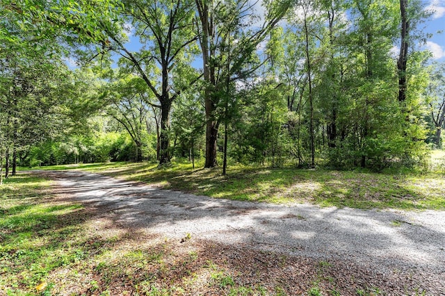 7708 SW 122nd St, Gainesville, FL 32608 - photo 21