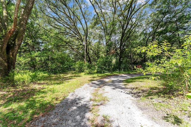 7708 SW 122nd St, Gainesville, FL 32608 - photo 22