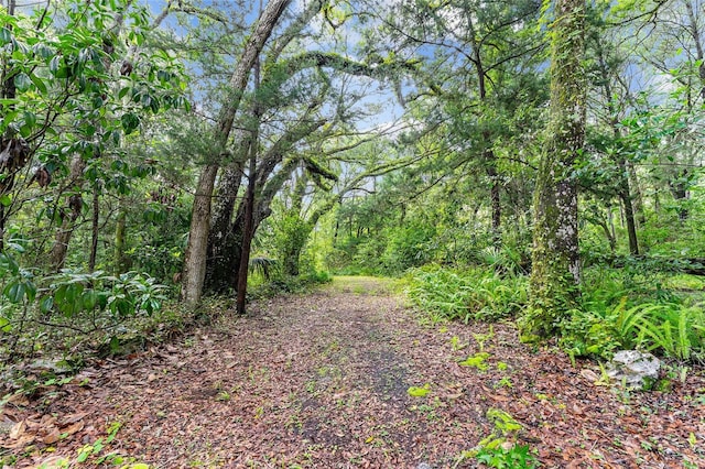 7708 SW 122nd St, Gainesville, FL 32608 - photo 23