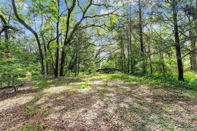 7708 SW 122nd St, Gainesville, FL 32608 - photo 25