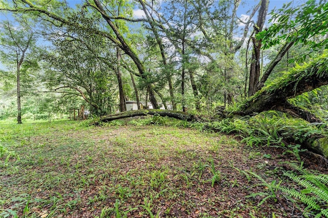 7708 SW 122nd St, Gainesville, FL 32608 - photo 28