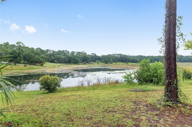 16935 SE 63rd Ln, Ocklawaha, FL 32179 - photo 74