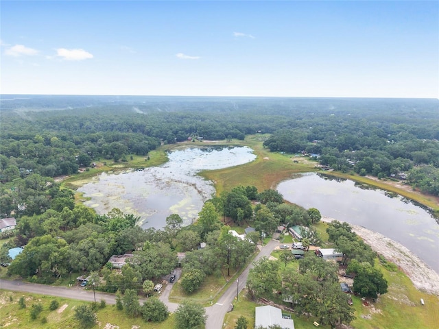 16935 SE 63rd Ln, Ocklawaha, FL 32179 - photo 75