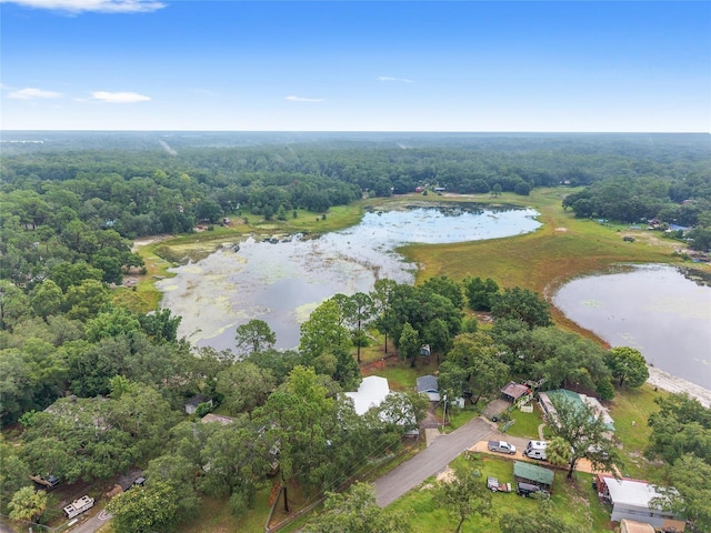 16935 SE 63rd Ln, Ocklawaha, FL 32179 - photo 76
