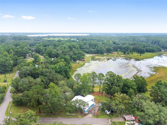 16935 SE 63rd Ln, Ocklawaha, FL 32179 - photo 77