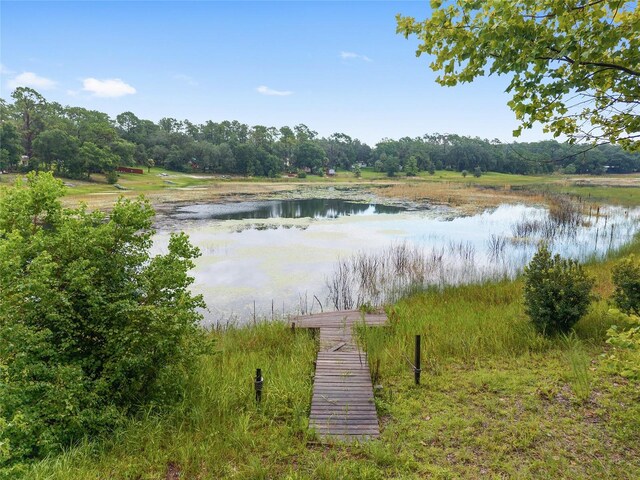 16935 SE 63rd Ln, Ocklawaha, FL 32179 - photo 86