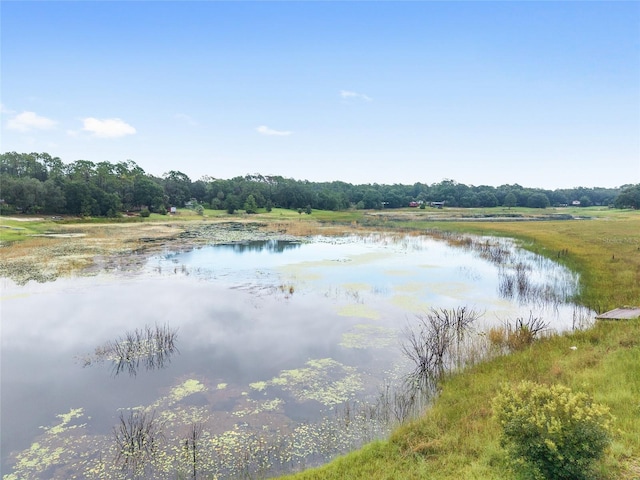 16935 SE 63rd Ln, Ocklawaha, FL 32179 - photo 88