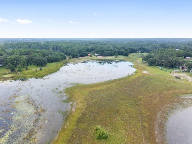 16935 SE 63rd Ln, Ocklawaha, FL 32179 - photo 94