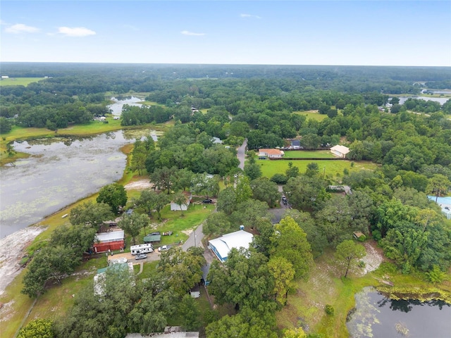 16935 SE 63rd Ln, Ocklawaha, FL 32179 - photo 95