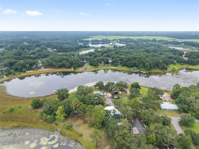 16935 SE 63rd Ln, Ocklawaha, FL 32179 - photo 96