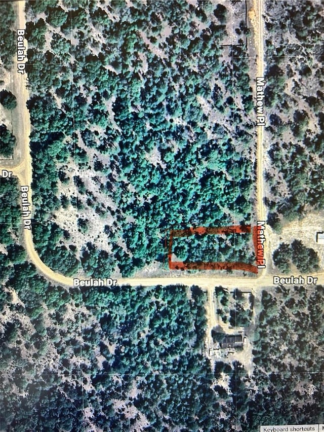 101 Matthew Pl, Hawthorne, FL 32640
