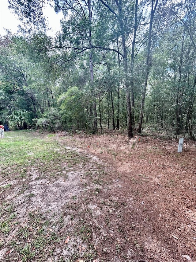 2214 NE 45th Ave Unit 3, Ocala, FL 34470 - view of yard featuring a forest view