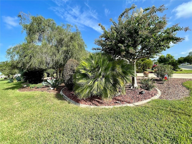 1708 SW 155th Place Rd, Ocala, FL 34473 - photo 8