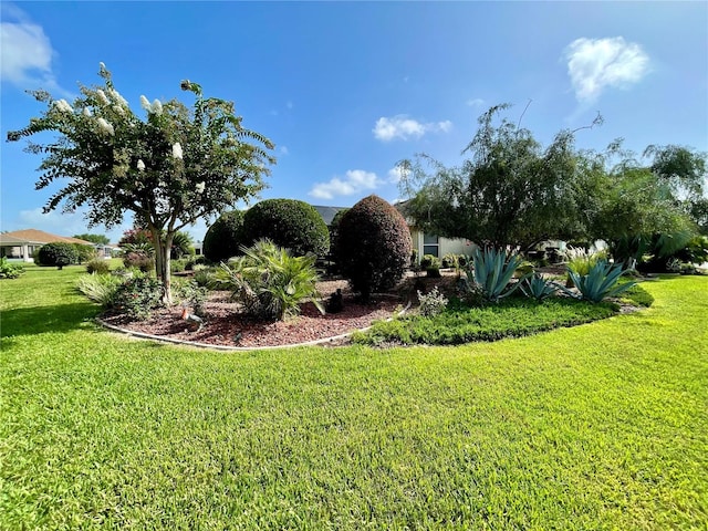 1708 SW 155th Place Rd, Ocala, FL 34473 - photo 57