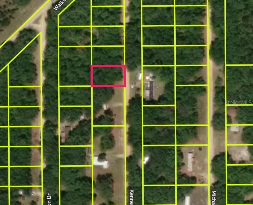 Kennedy Ave, Interlachen, FL 32148 - photo 2
