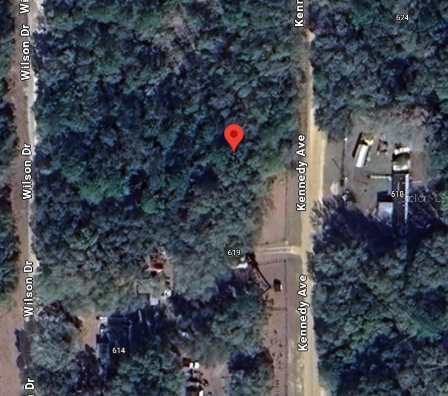 Kennedy Ave, Interlachen, FL 32148 - photo 3